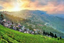 Darjeeling Photo